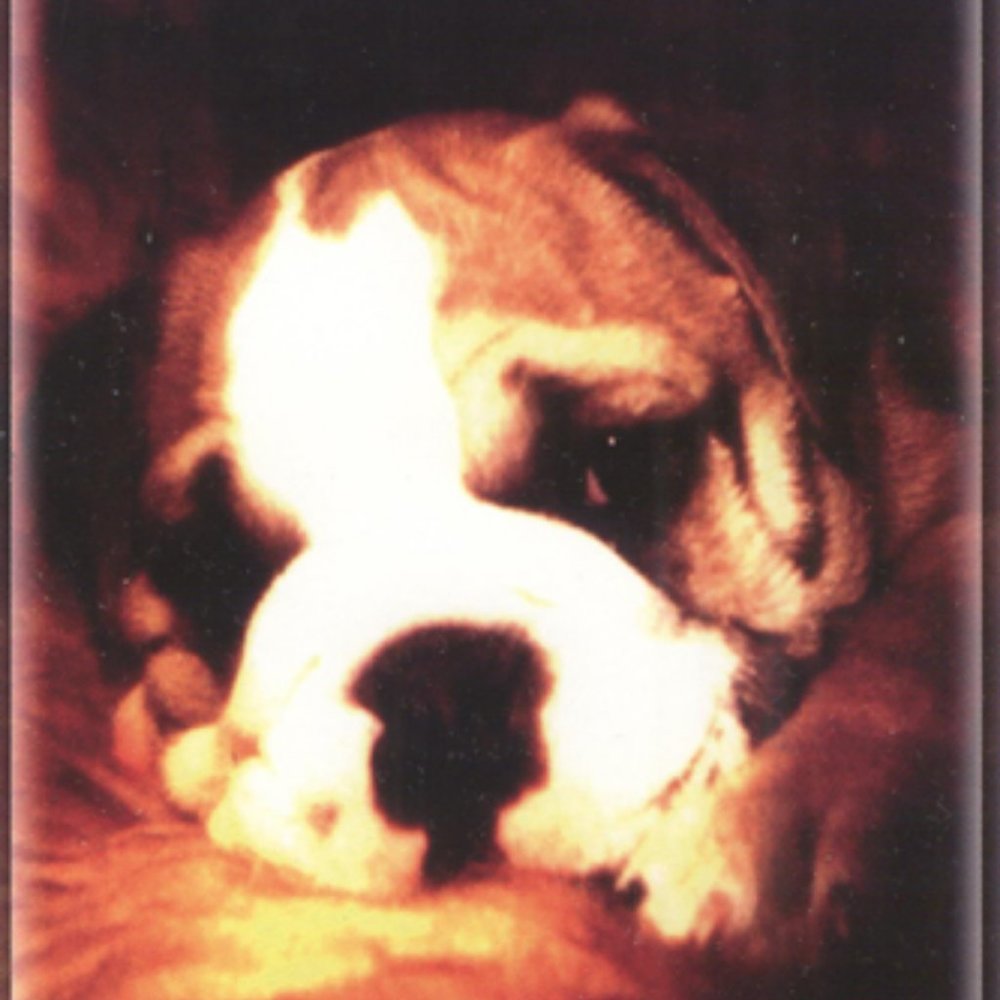 Limited Edition "Missing you!" Postcard